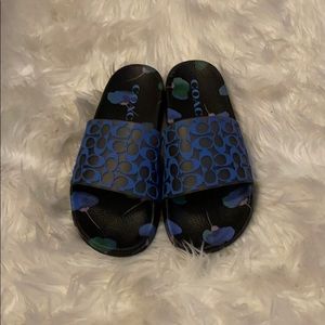 Coach slides